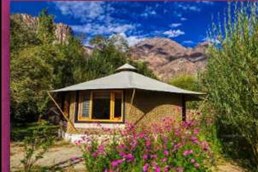 Chalet Seabuckthorn